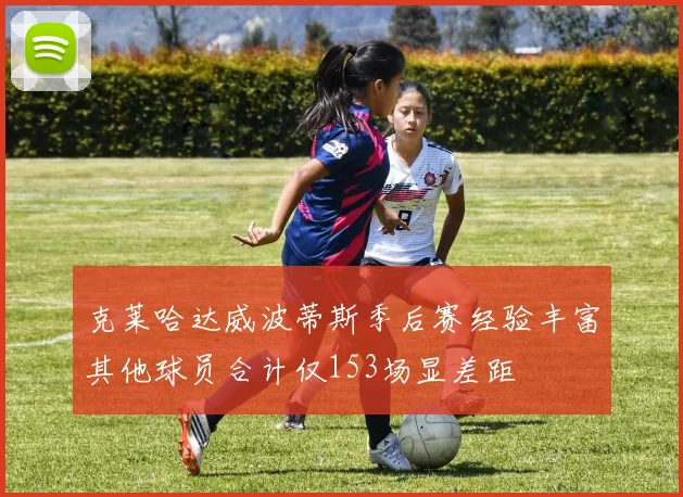 克莱哈达威波蒂斯季后赛经验丰富其他球员合计仅153场显差距